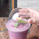 Karat Earth 98mm Dome Lids for 12-24oz PLA Cups - 1,000 pcs